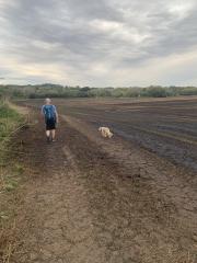 Not far from Pitsea - some stubble burning has taken place here!